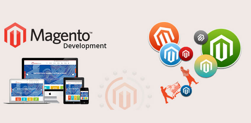 Important Things To Have Magento Development Company in the USA